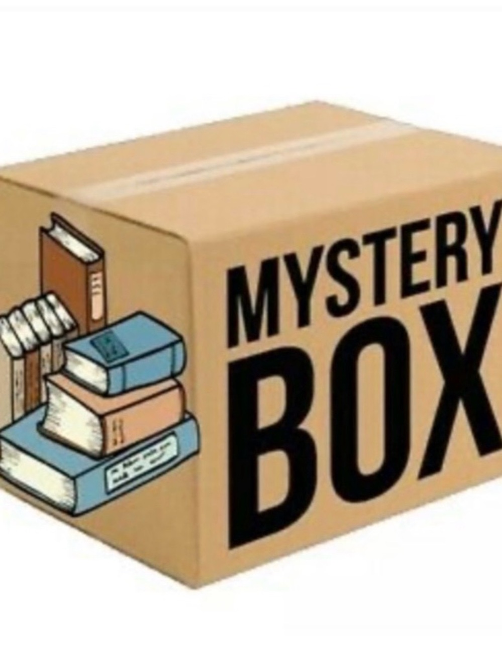 Mystery Box Book Bundle - Brown
